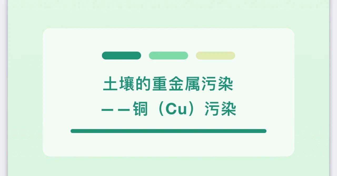 土壤的重金属污染 ——铜（Cu）污染