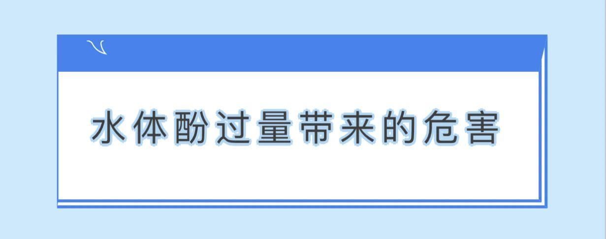 水体酚过量带来的危害